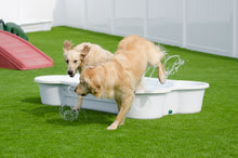 2 QTY Bone Pool™️ 1 QTY Paw Pool™️ Package by One Dog One Bone™️