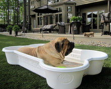 2 QTY Bone Pool™️ 1 QTY Paw Pool™️ Package by One Dog One Bone™️