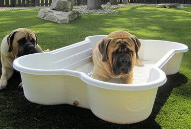 3 Bone Pools and 1 Paw Pool Package