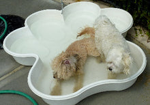 2 QTY Bone Pool™️ 1 QTY Paw Pool™️ Package by One Dog One Bone™️